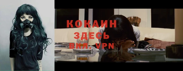 кокс Алзамай