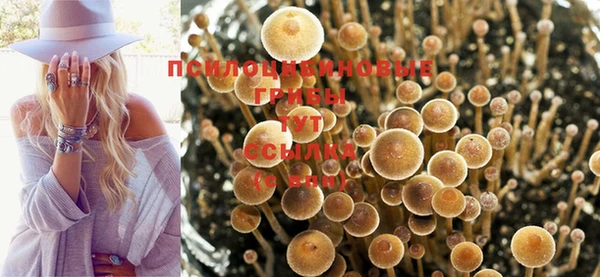 винт Абаза