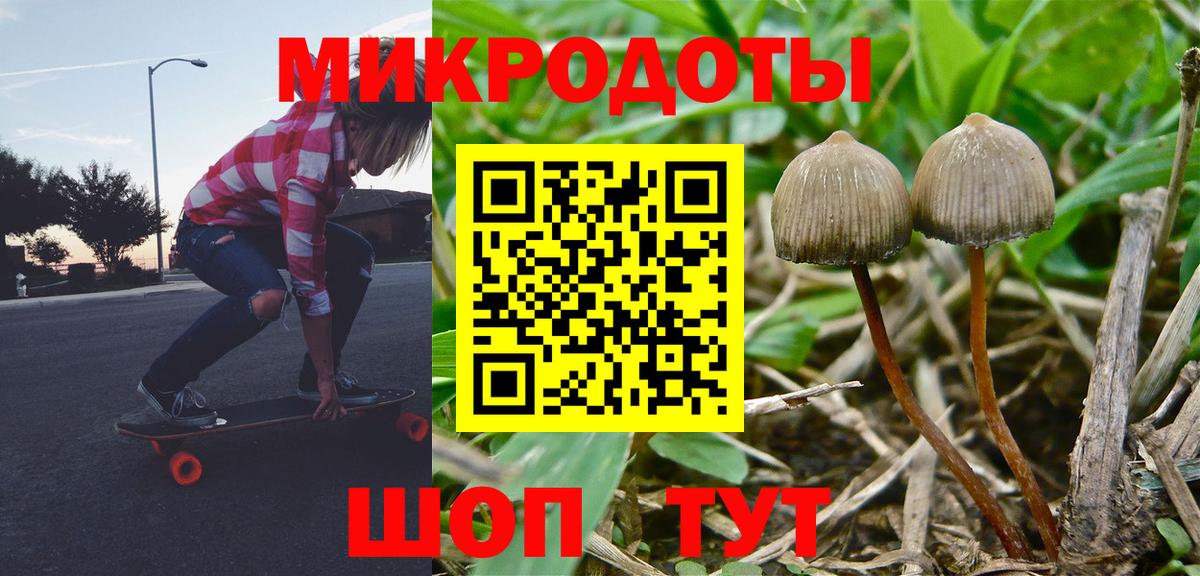 Псилоцибиновые грибы GOLDEN TEACHER  Вход с VPN  Сокол 