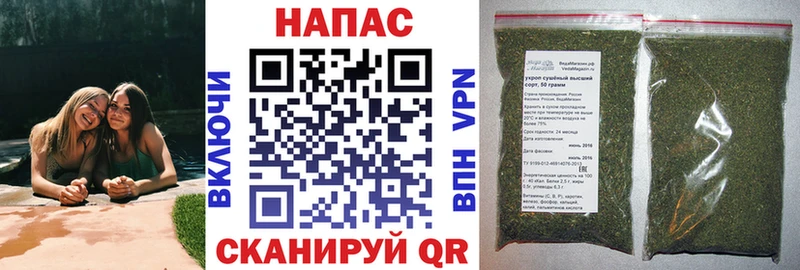 Канабис MAZAR  Сокол 